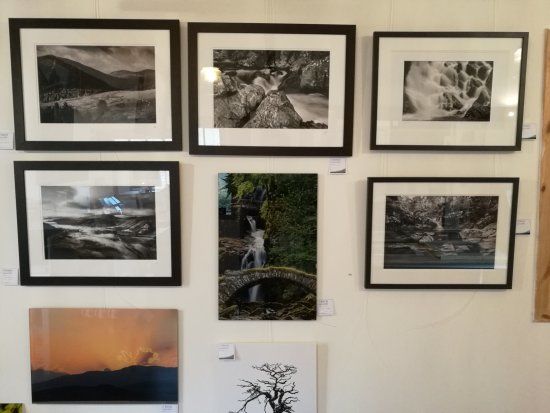 The Shed Gallery