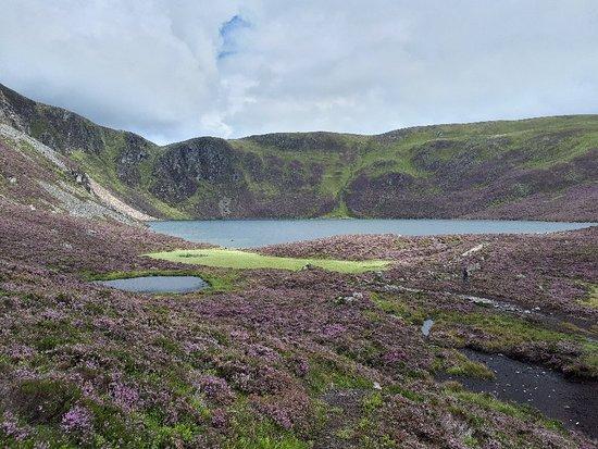 Loch Brandy