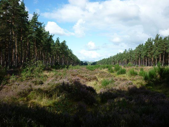 Cleaven Dyke